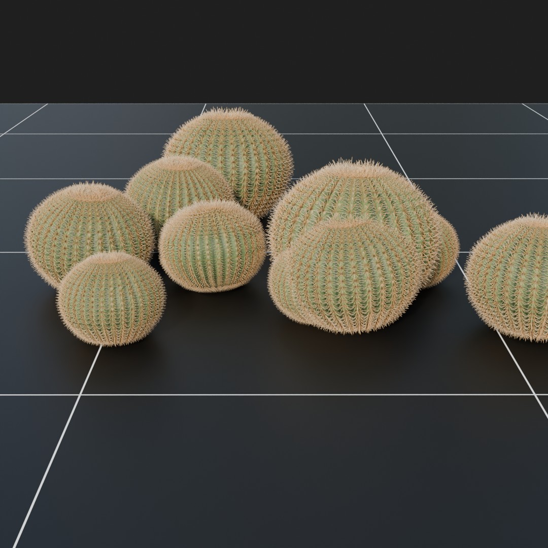 Golden Barrel Cactus